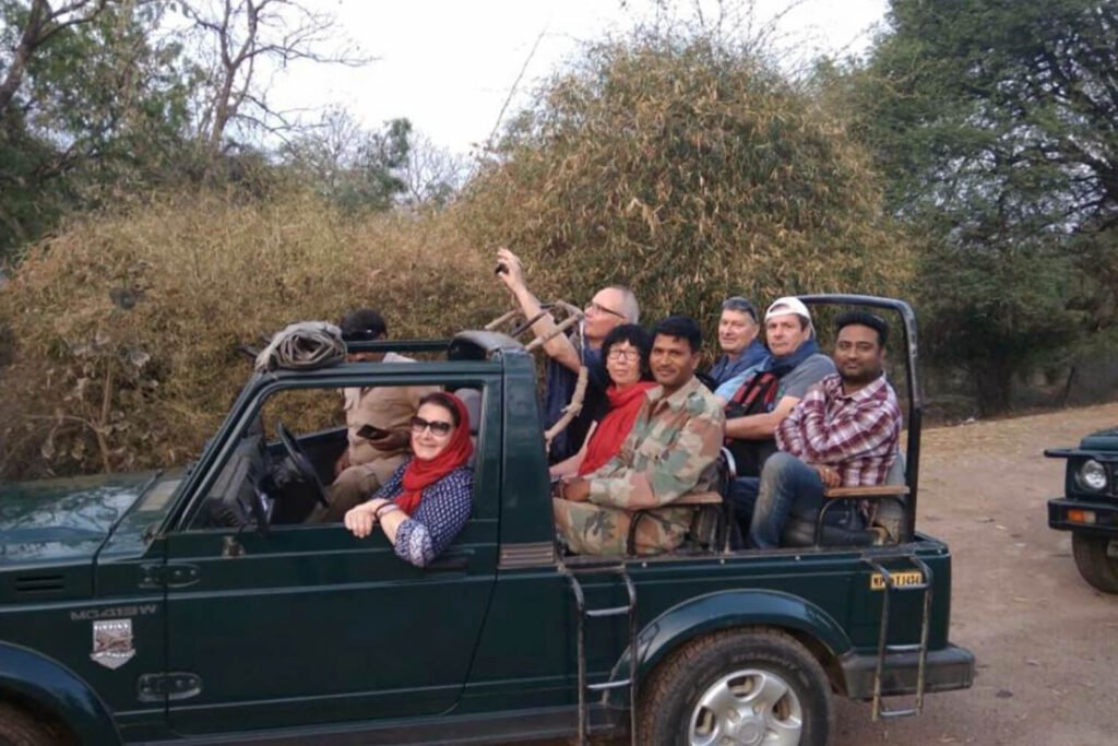 Jeep Safari in Panna National Park